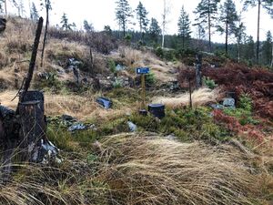 Karineplassen november 2022 (IMG 0815).jpg