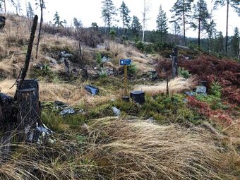 Karineplassen november 2022 (IMG 0815).jpg