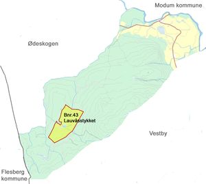 Kart over Lauvåsstykket (gbnr.180-43) i Øvre Eiker kommune.jpg