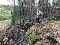 Damsted for Karteruddammen lå ved denne knausen mellom Karterud og Søndre Holm gård.
