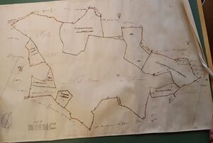 Kartskisse fra delingsforretningen som viser grenser og jordstykker.jpg