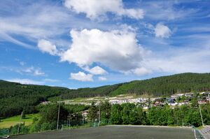 Kaupanger I Krins.jpg