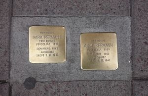 Kermann Snublesteiner Oslo.JPG