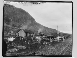 Kirkestølene, Filefjeld - NB MS G4 0148.jpg