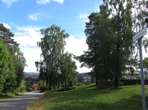 Kirkesvingen Oslo 2013.jpg