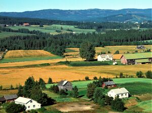 Kirkhusteppen Brandval vestside 1962.jpg