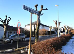 Kjærlighetsstien Tønsberg 2015.jpg