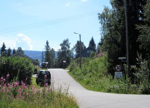 Kjemhushaugen veg i Veggli 2018.JPG