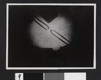 256. Kjemisk prosess - no-nb digifoto 20160414 00482 bldsa EYDE 5 04 040.jpg