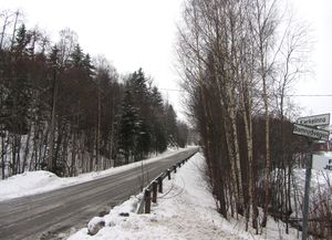 Kjerkelinna Feiring 2014.jpg