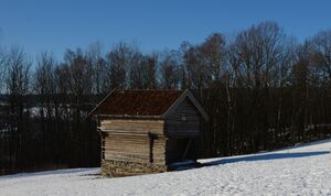 Kjona Lier Bygdetun.jpg