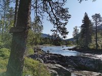 Kleivelvi litt lengre ned, ved brua sør for Speidartjørni, me ser austover. Foto: Trond Nygård (2019).