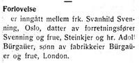 118. Klipp 3 fra Nord-Trøndelag og Nordenfjeldsk Tidende 09.02.33.jpg