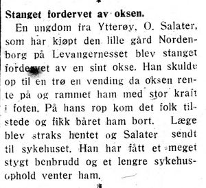 Klipp 6 fra Inntrøndelagen og Trønderbladet 27.7. 1932.jpg