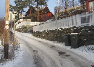 Kneika Oslo 2014.jpg