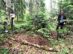 Koias konturer markert med trestammer og med lagets leder Vidar Larsen i hyttas bortre hjørne.