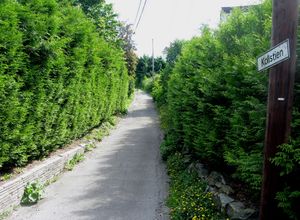 Kollstien Oslo 2014.jpg