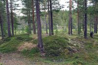 Kolmile framafor koia. Denne mila har truleg slokna før ho var ferdig, sidan det ligg att så mykje kol der.