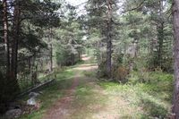 Kongevegen ved Lesjaverk.