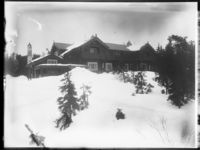 Vinterbilde Foto: Narve Skarpmoen/Nasjonalbiblioteket