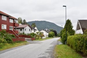 Kongsberg, Prahms gate-1.jpg