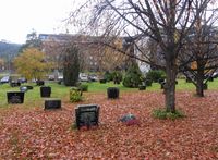 Motiv fra Kongsberg nye kirkegård. Foto: Stig Rune Pedersen