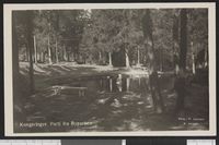 43. Kongsvinger. Parti fra Byparken - no-nb digifoto 20150803 00233 bldsa PK28456.jpg