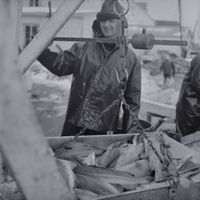 Skipper Gerhard Leine kontrolerer vekta.