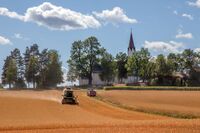 Slåttonn på Kråkstad. Middelalderkirken i bakgrunnen. Foto: Leif-Harald Ruud (2018)