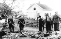 86. Krigen på Øvre Eiker (oeb-192729).jpg