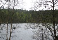 Vannet Kringla ligger ved Solemskogen. Foto: Stig Rune Pedersen (2015)