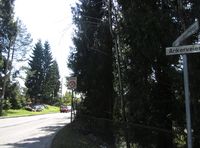 Motiv fra Kristianiasvingen i Oslo. Foto: Stig Rune Pedersen (2013).