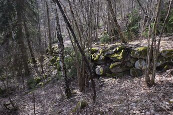 Store deler av "Krokkleiva" er bygd opp med steinsettinger som noen steder er opptil et par meter høye. Deler av veianlegget er fremdeles i bruk som sti fra Nærsnes mot Morberg. (Foto: Victor Iversen 2021)