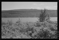 82. Krutådal, Grensegate Norge - Sverige. - no-nb digifoto 20151009 00004 NB MIT FNR 05097.jpg