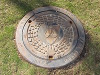 10. Kumlokk Eidsvoll kommune 2014.jpg