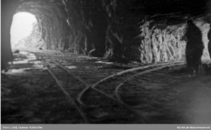 Kvænflåget tunnelinnslag.png