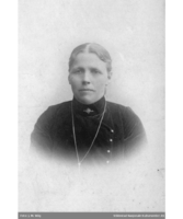 273. Kvinne levanger 1880-1900.png