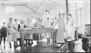 Kvinner på Hindø ca. 1920 - TD.F- 03097.jpg