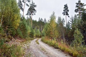 Kviteseid, Briskedekkanvegen-1.jpg