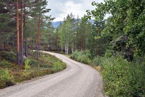 Kviteseid, Kragsholmvegen-1.jpg