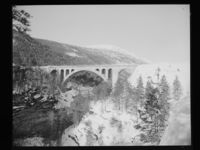 94. Kylling bro - no-nb digifoto 20150205 00089 NB MIT FNR 15742.jpg