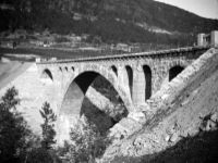 Kylling bru 1924