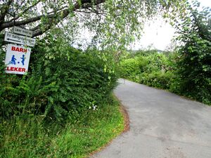 Lærer Holes vei Oslo 2015.JPG