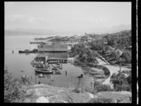 11. Lødingen - no-nb digifoto 20150121 00181 NB MIT FNR 19509.jpg