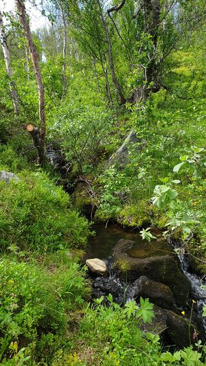 Løgryta, Grøndalen.jpg