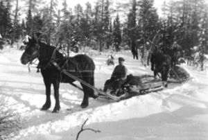 Løiten Almenning tømmerkjøring.jpg