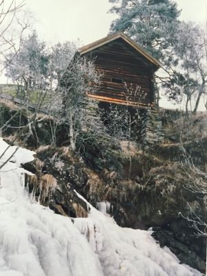 Løkjakvenna i Heddal.jpeg