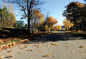 Lørenskog rådhus LL132.jpg