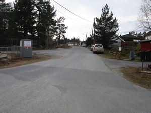 Løvåsveien Kongsberg 2015.jpg