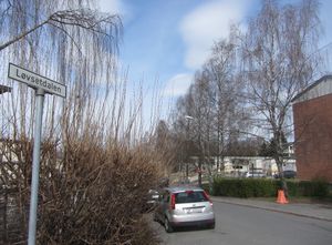 Løvsetdalen Oslo 2014.jpg
